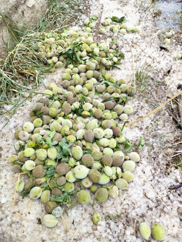 Granizada causa devastadores daños en San Lucas, Nor Cinthi