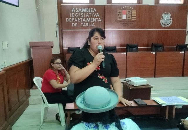 Denuncian a legisladora del MAS por cumplir Reglamento de la Asamblea Departamental de Tarija